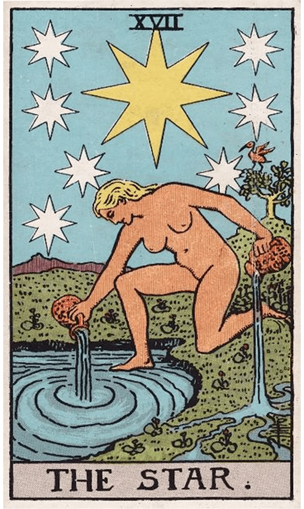 The Star
